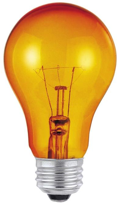 Westinghouse 25A/TA | 25W A19 Incandescent Transparent Amber E26 Base 120V