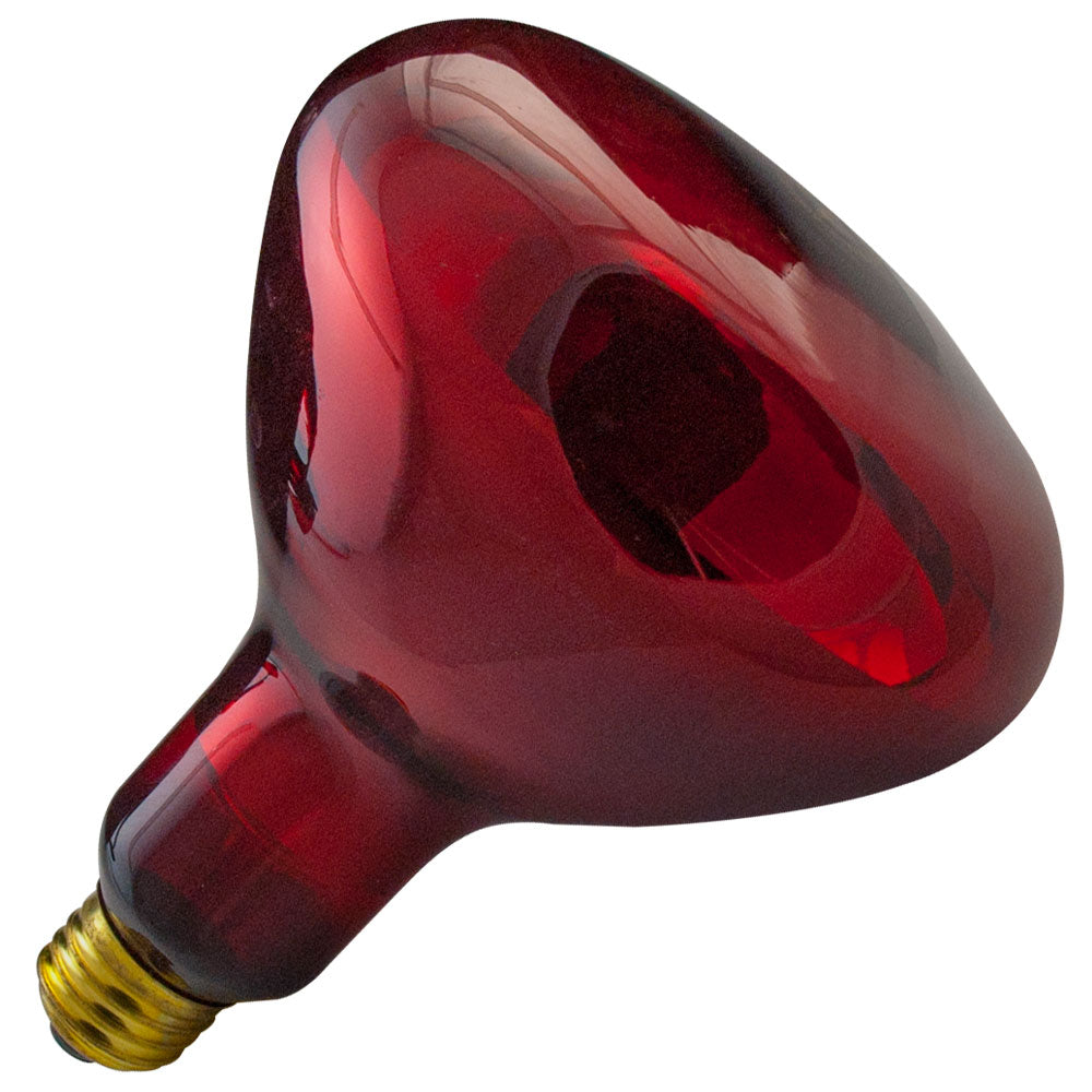 Standard Products 125W IR Heat Lamp BR40 120V