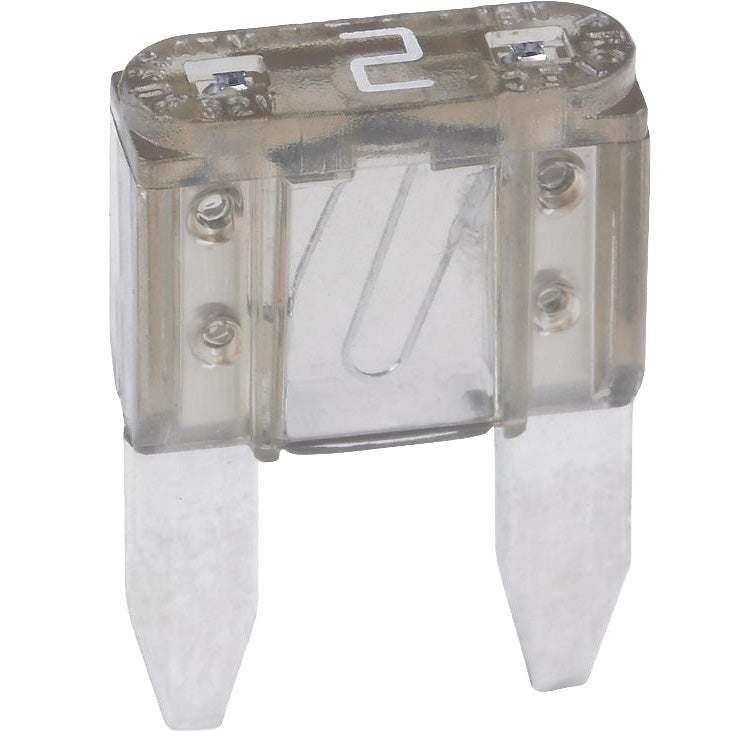 2 AMP Auto Fuse