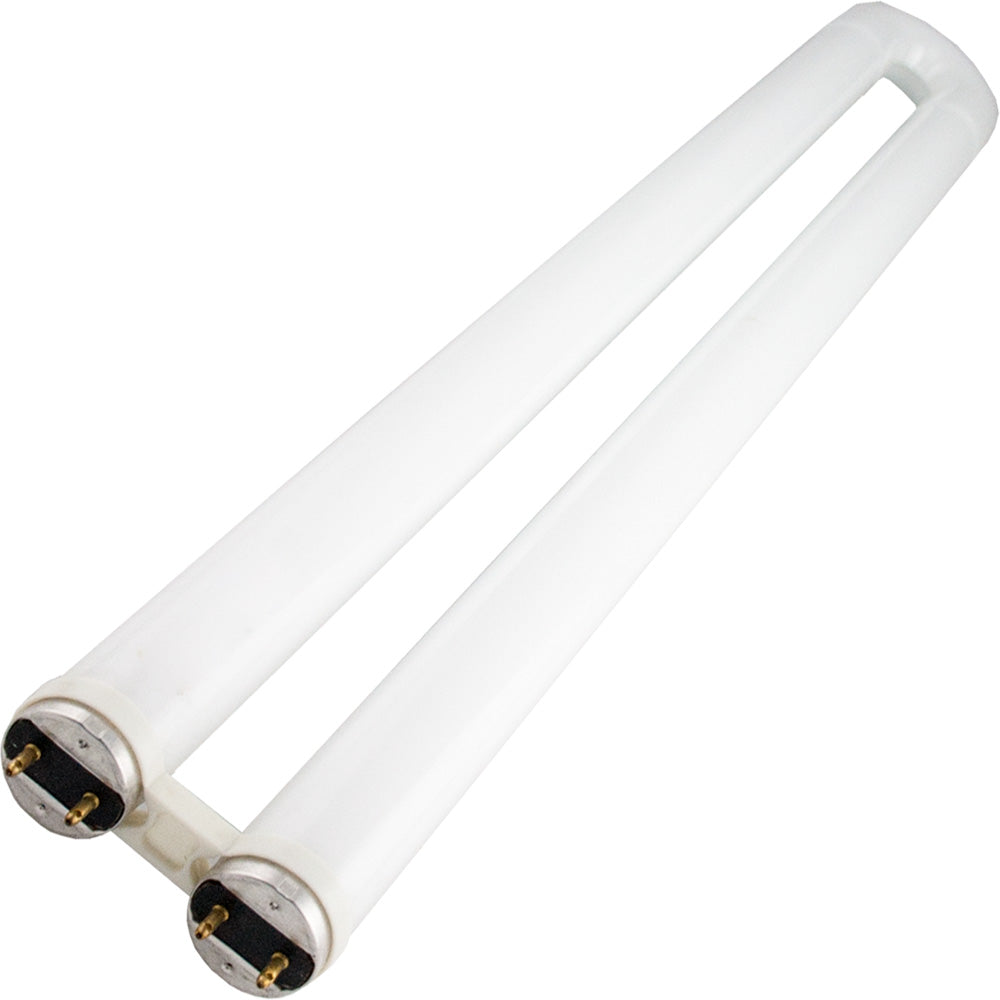 Sylvania FBO24/841 - 24W T8 U-Bent Fluorescent - 4100K - 82 CRI