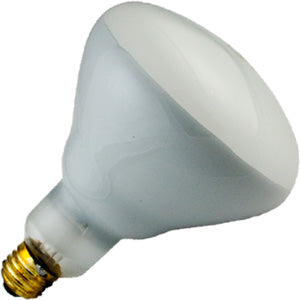 Litetronics - 100W BR40 Incandescent - Flood - Long Life