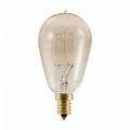 Bulbrite 132510 - 25W 120V Vintage Bulb - Candelabra Base