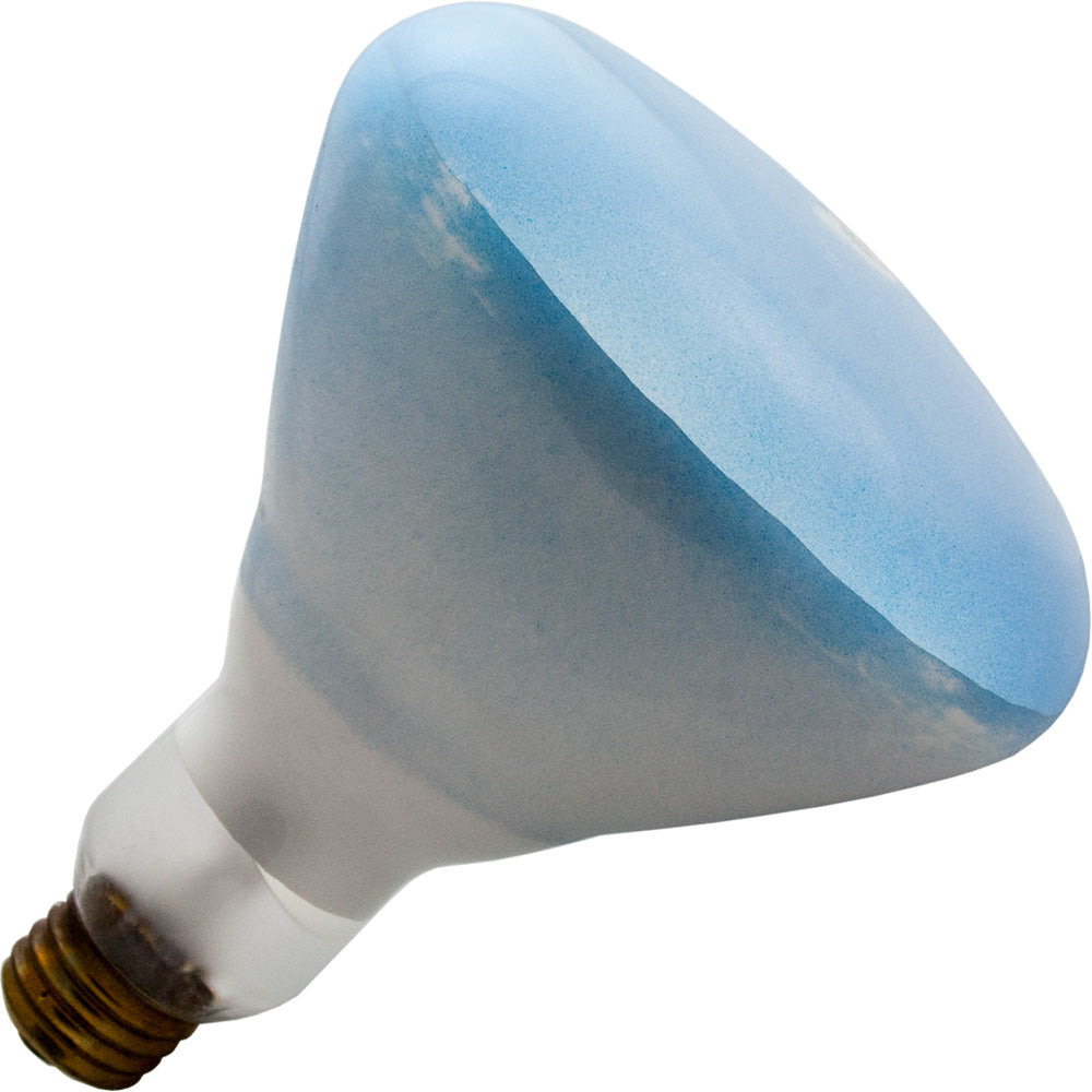 150R/FL/120WM/BW - 120W BR40 - Blue