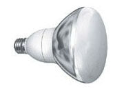 19W 120V R40 CFL Flood, Medium Base - 2700K Warm White