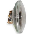 4042 - 12W 6.4V PAR36 Incandescent Sealed Beam