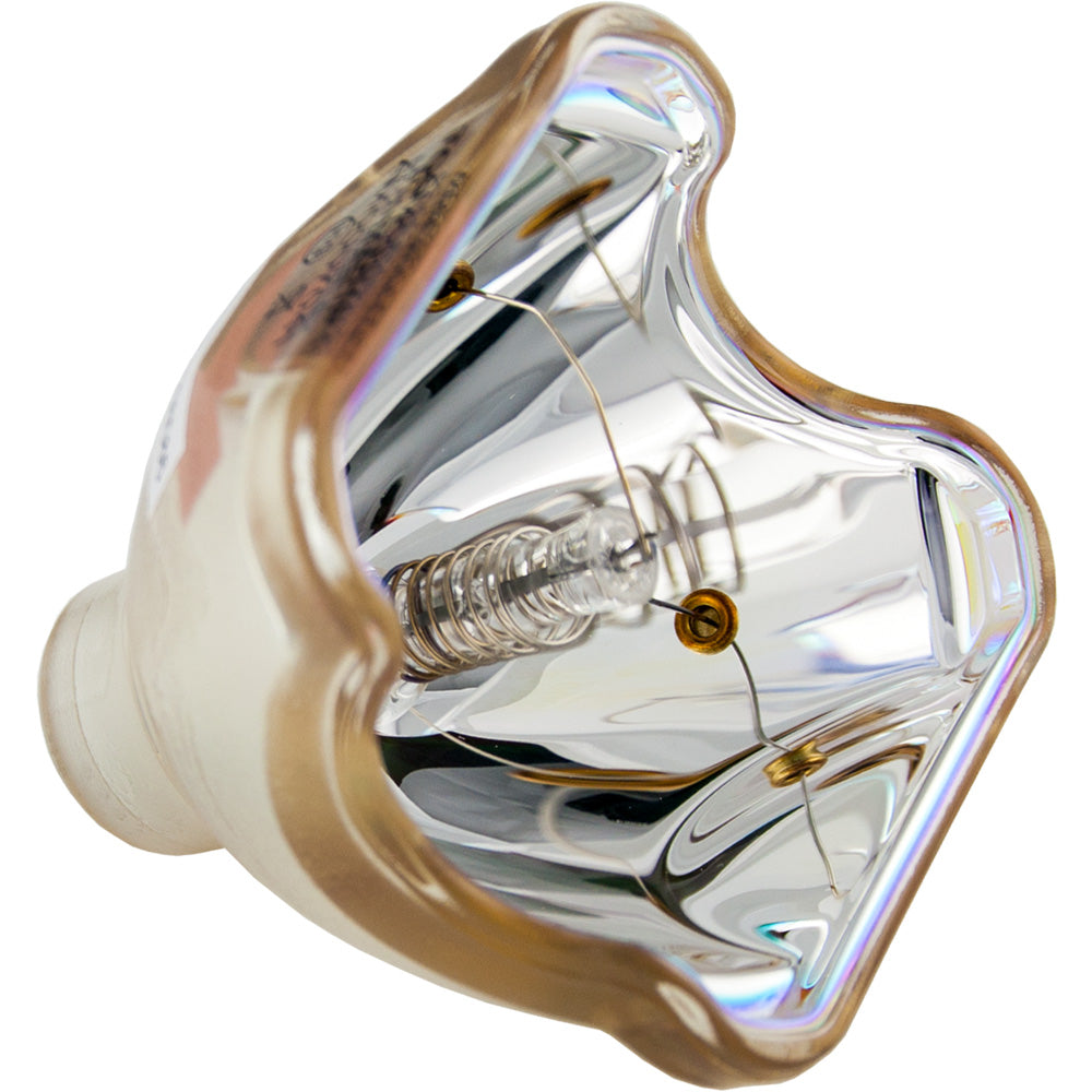 Dukane Image Pro 8758 Bare Bulb
