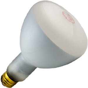 50ER30 - 50W ER30 Incandescent - Flood - Medium Base