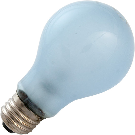 60A/N Bulb 60W 120V A19 Incandescent Neodymium Medium Base Frosted