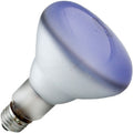 Sylvania 65BR30/DAY/RP - 65W BR30 Incandescent - Flood - Daylight