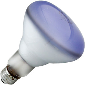 Sylvania 65BR30/DAY/RP - 65W BR30 Incandescent - Flood - Daylight