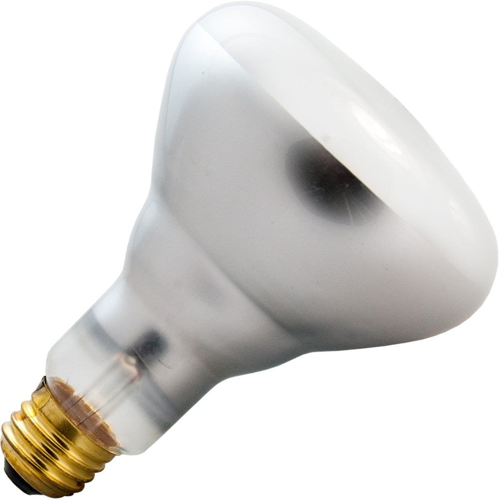 65BR30/SP - 65W BR30 Incandescent Spotlight - Medium Base - Long Life