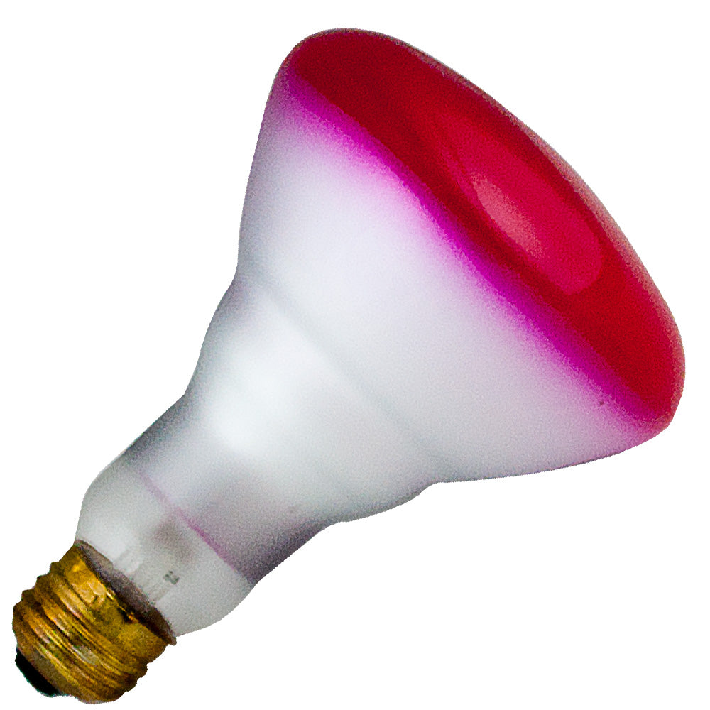 Standard - 75W BR30 Incandescent - Flood - Pink Light