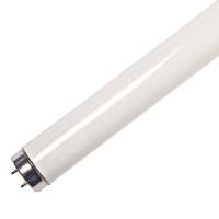 F30T8/WW - 30W T8 36-Inch Fluorescent - Warm White