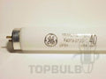T8 VIBRANT Color Fluorescent
