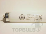 T8 VIBRANT Color Fluorescent