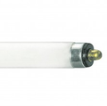 Philips - 264820|F64T6/N