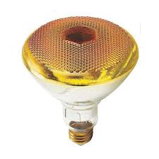 Philips 387662 | 100PAR/1/Y 120V