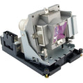 Optoma TH1060P Lamp BL-FS300C