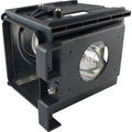 Samsung BP96-01403A Lamp