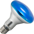 Halco - 65W BR30 Incandescent - Flood - Blue Light