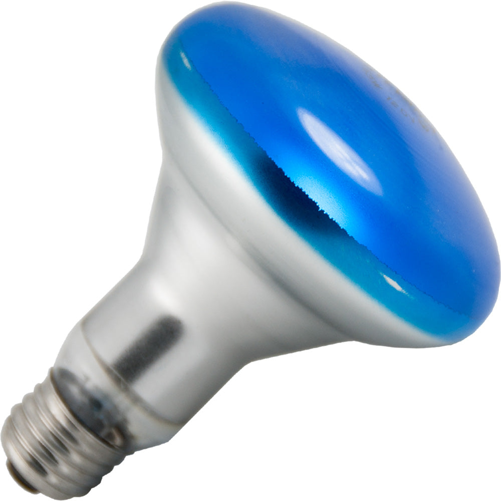 Halco - 65W BR30 Incandescent - Flood - Blue Light