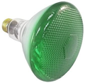 Philips 100BR38/Green Outdoor Flood Light