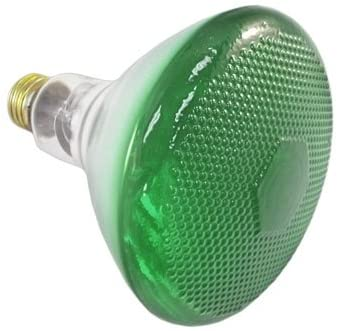 Philips 100BR38/Green Outdoor Flood Light