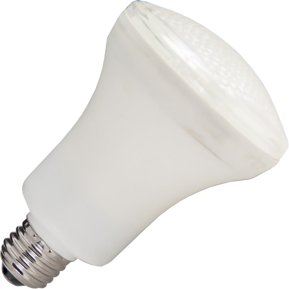 Compact Fluorescent Reflector Flood 11W R28