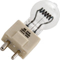 300W 120V Halogen (100 HR)