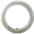 Eiko FC8T9/D - 22W Circline Fluorescent - 4 Pin - 6500K - Daylight