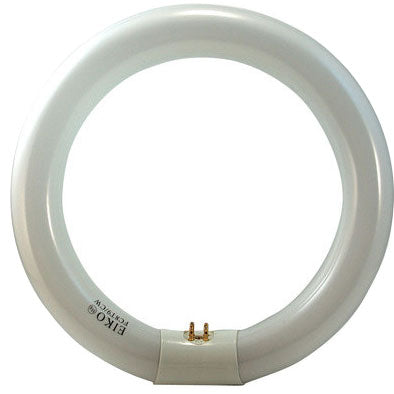 Eiko FC8T9/D - 22W Circline Fluorescent - 4 Pin - 6500K - Daylight