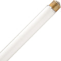 FA4T5/CW/RS/5004 - 4W T5 Fluorescent, Rapid Start, Cool White