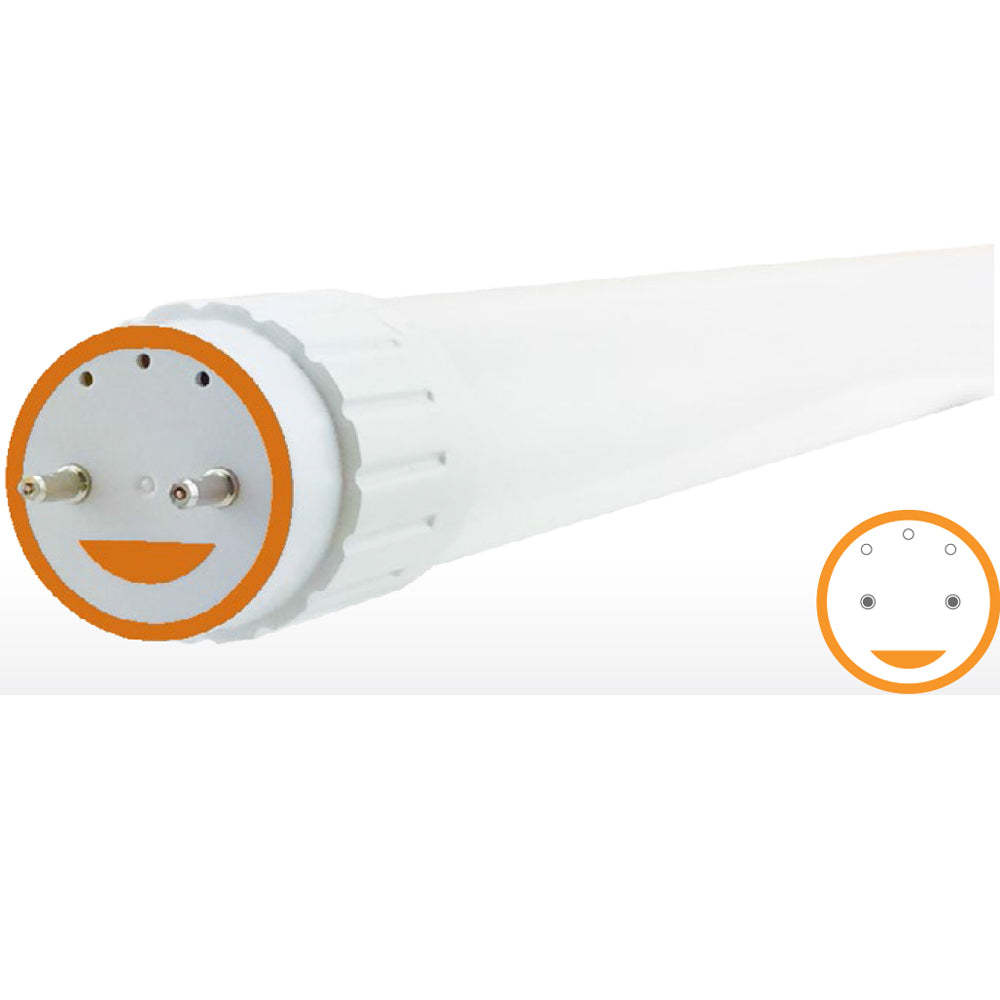 Green Creative 13T8/4F/850/DIR | 4 ft. T8 Tube 13W - Direct Ballast Compatible - 25 Pack