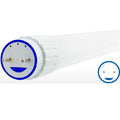 Green Creative 8T8/2F/840/BYP | 2 ft. T8 Tube 8W - Bypass 120-277V - 25 Pack