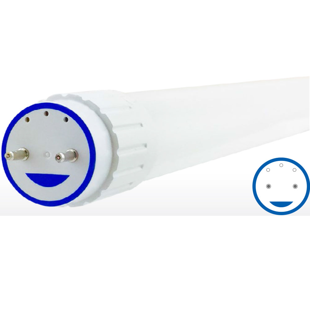Green Creative 8T8/2F/840/BYP | 2 ft. T8 Tube 8W - Bypass 120-277V - 25 Pack