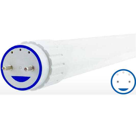 Green Creative 8T8/2F/840/BYP | 2 ft. T8 Tube 8W - Bypass 120-277V - 25 Pack