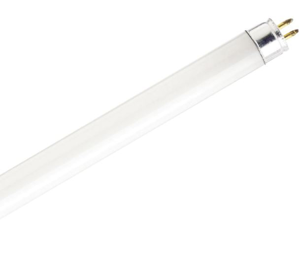 Satco S1904 - F8T5/CW 12" Cool WHite T5 mini Bipin Fluorescent Tube