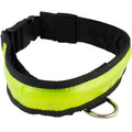 Polybrite Sportbrite Illuminated Dog Collar | Size X-LG