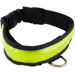 Polybrite Sportbrite Illuminated Dog Collar | Size X-LG