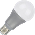 Standard - 10W LED - 60W Equal - Amber Light