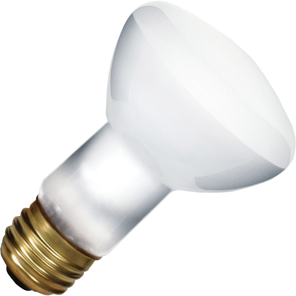 Standard - 30W R20 Incandescent - Clear - Medium Base