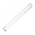 Standard - 31W T8 U-Bent Fluorescent - 4100K - 82 CRI