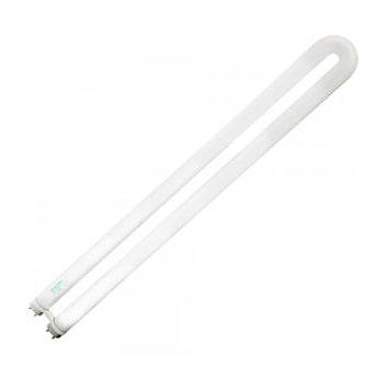 Standard - 31W T8 U-Bent Fluorescent - 4100K - 82 CRI