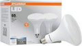 Sylvania 79624 - 13W BR40 LED - 85W Equal - 5000K - 2 Pack
