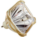 Epson, Anders Kern, Infocus V13H010L1B Front Projector Bare Bulb