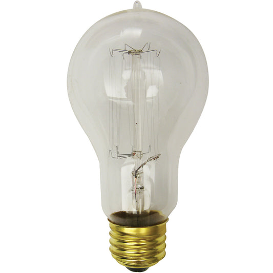 Standard - 40W Victorian - Squirrel Cage Filament - A19 - Medium Base