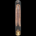 Standard - 30W Victorian - Hairpin Filament - T9 - Medium Base - Clear