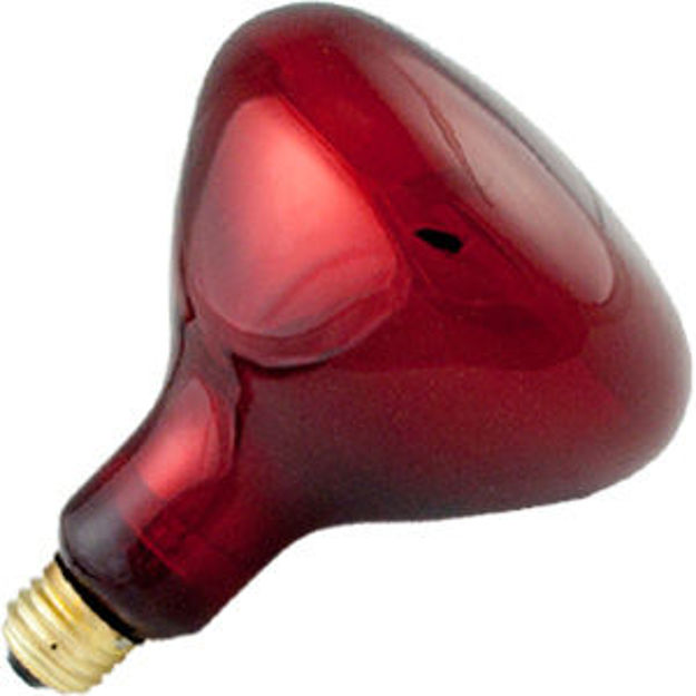 Standard 10252 250w 120v Red Heat Lamp, How Much Heat Does A 250 Watt Lamp Put Out