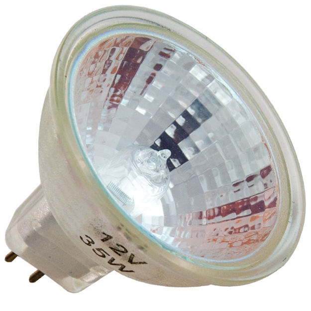 fmv-bulb.jpg