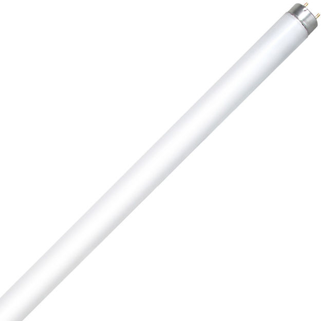 Picture of GE F32T8/SPX841 48in 32W Cool White Medium Bi-Pin lamp